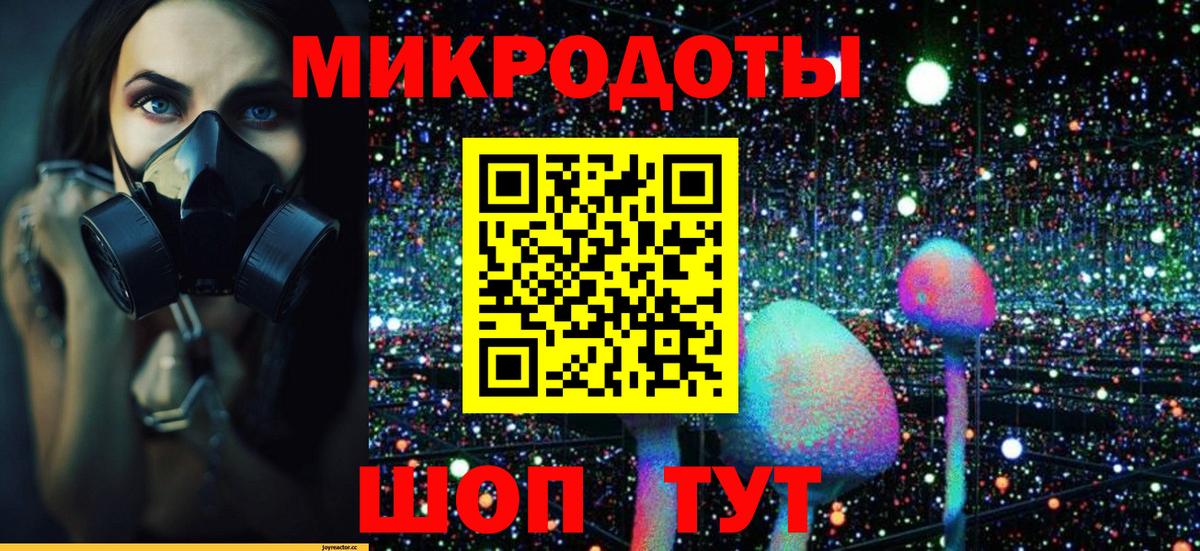 Галлюциногенные грибы Psilocybe  магазин    Астрахань  Вход с VPN 